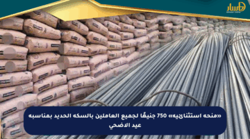 «منحة استثنائية» 750 جنيهًا لجميع العاملين بالسكة الحديد بمناسبة عيد الأضحى